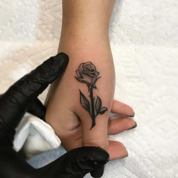 Flower, Rose