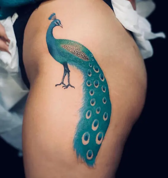 공작, 플라밍고, 백조