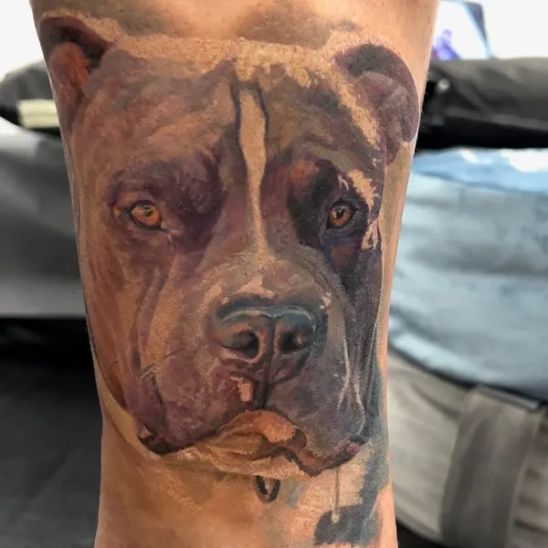 Animal