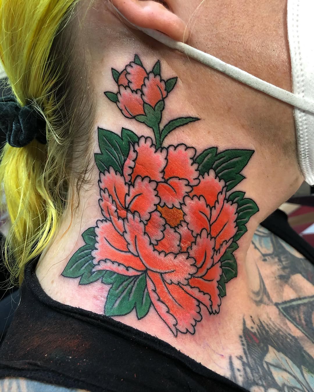 Flower, Rose, Nature