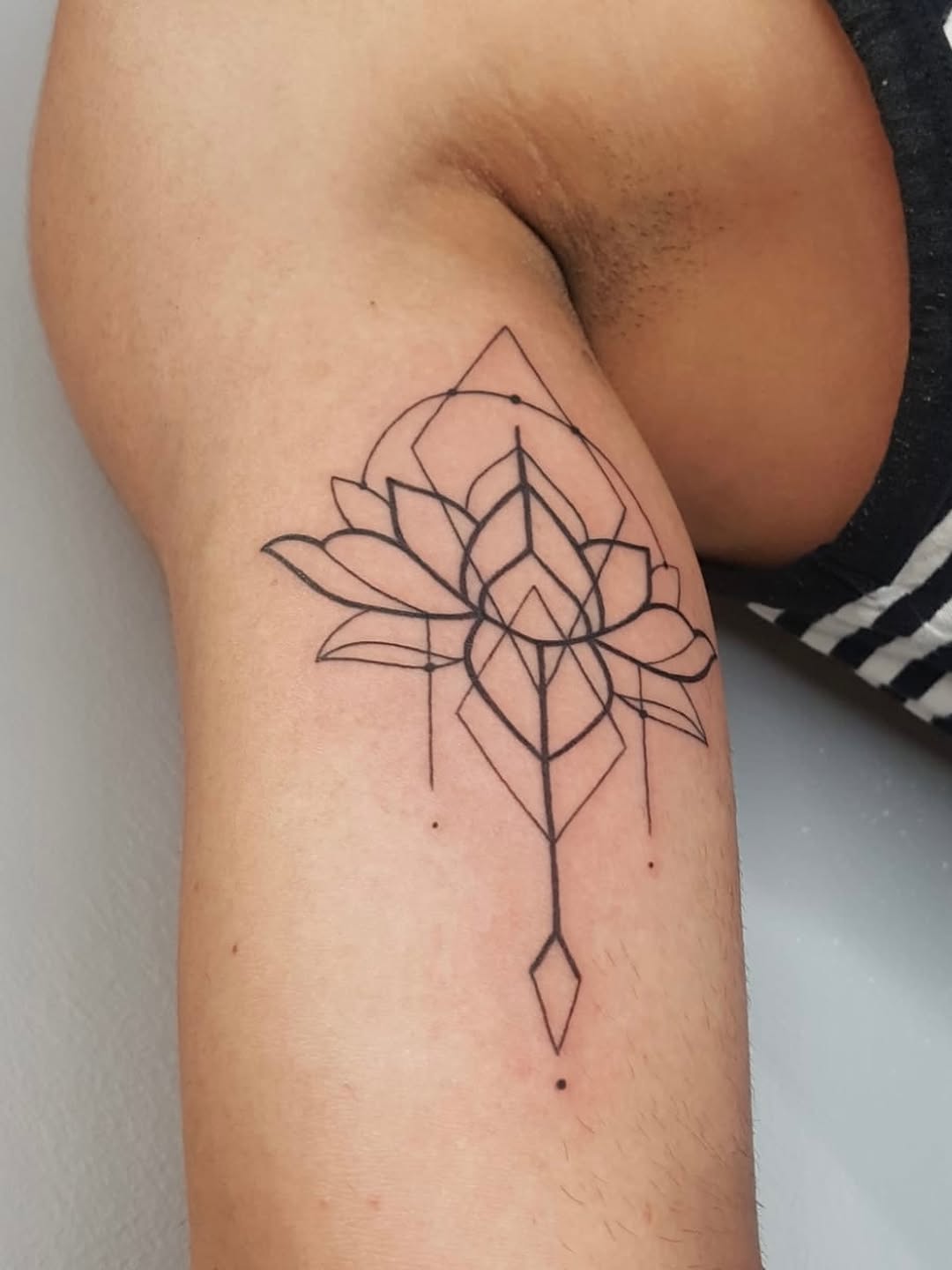 Flower, 연꽃