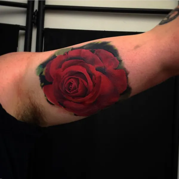 Flower, Rose