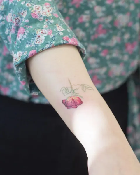 Flower, Rose