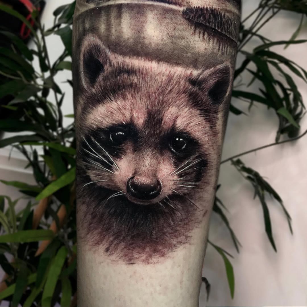 Animal, 너구리