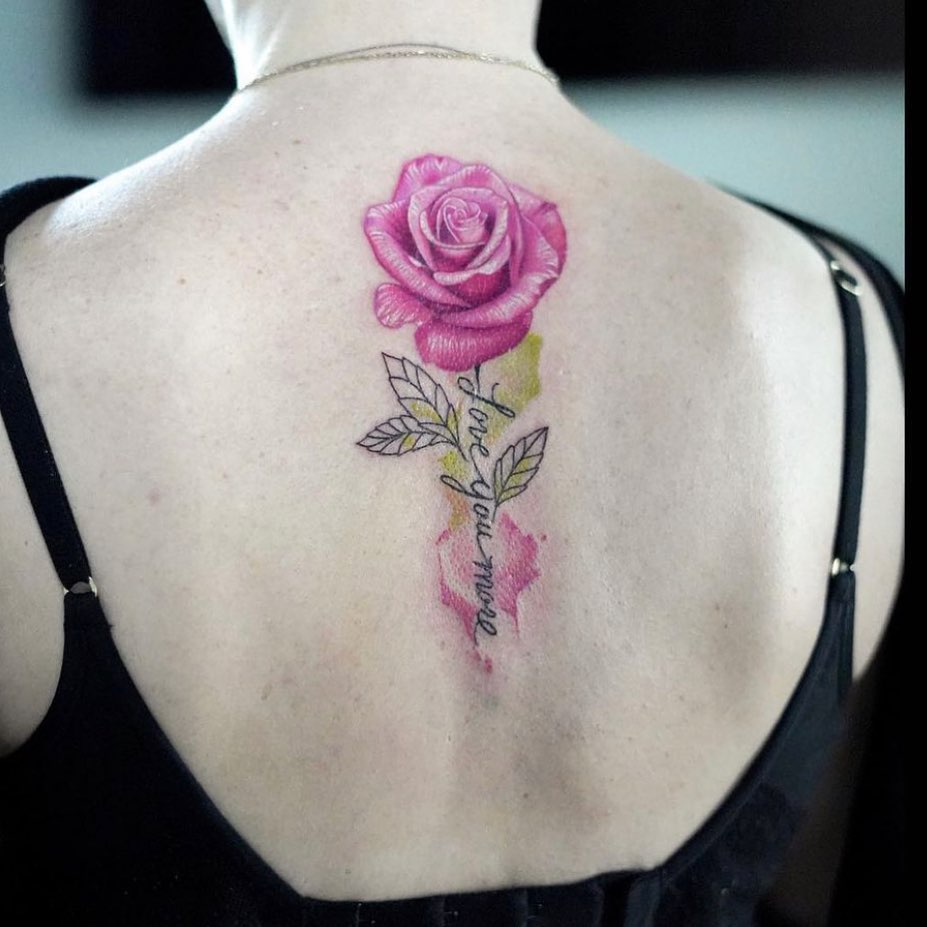 Flower, Rose, Nature