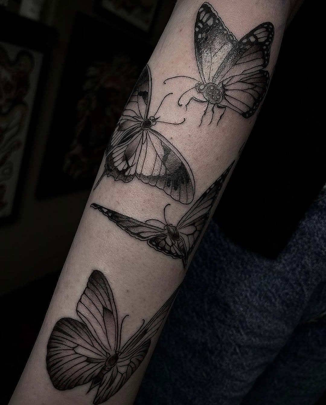 Animal, Nature