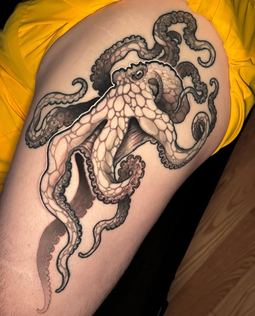 문어, Animal, 크라켄