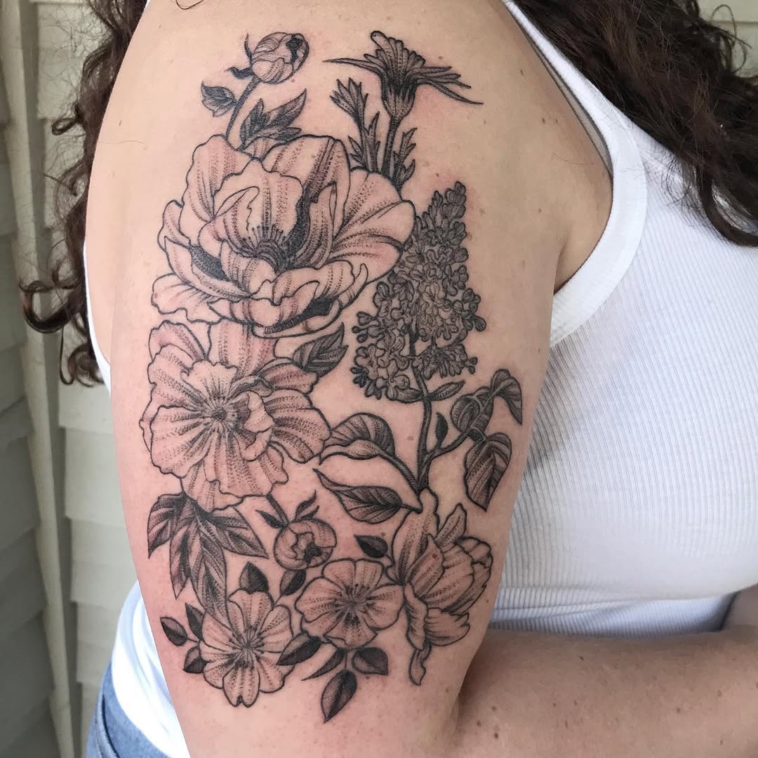 Flower, Rose, Nature