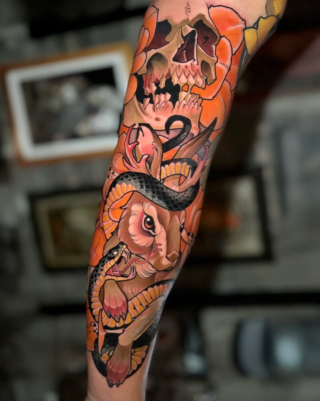 Dragon