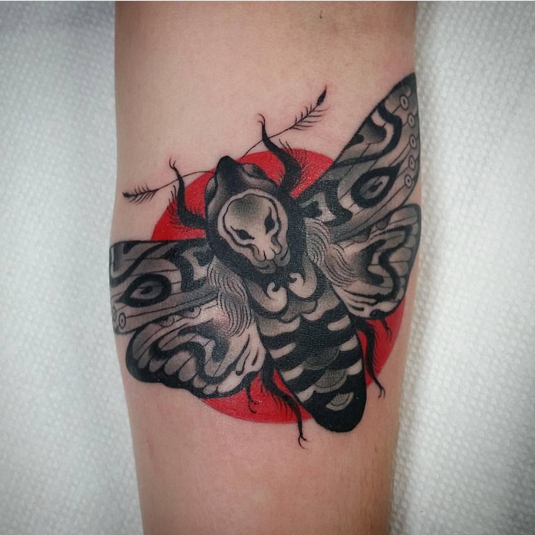 Animal, Nature