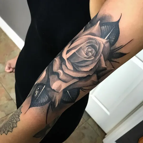 Rose, Flower