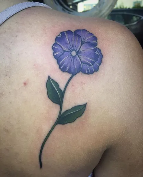 Flower, Rose, Nature