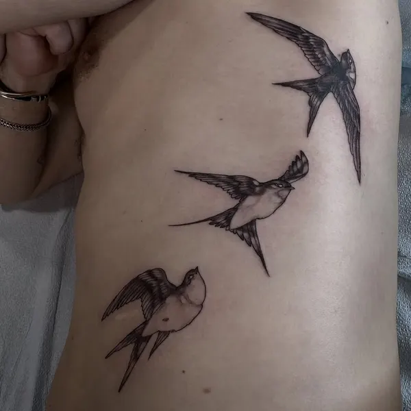 Animal, Nature