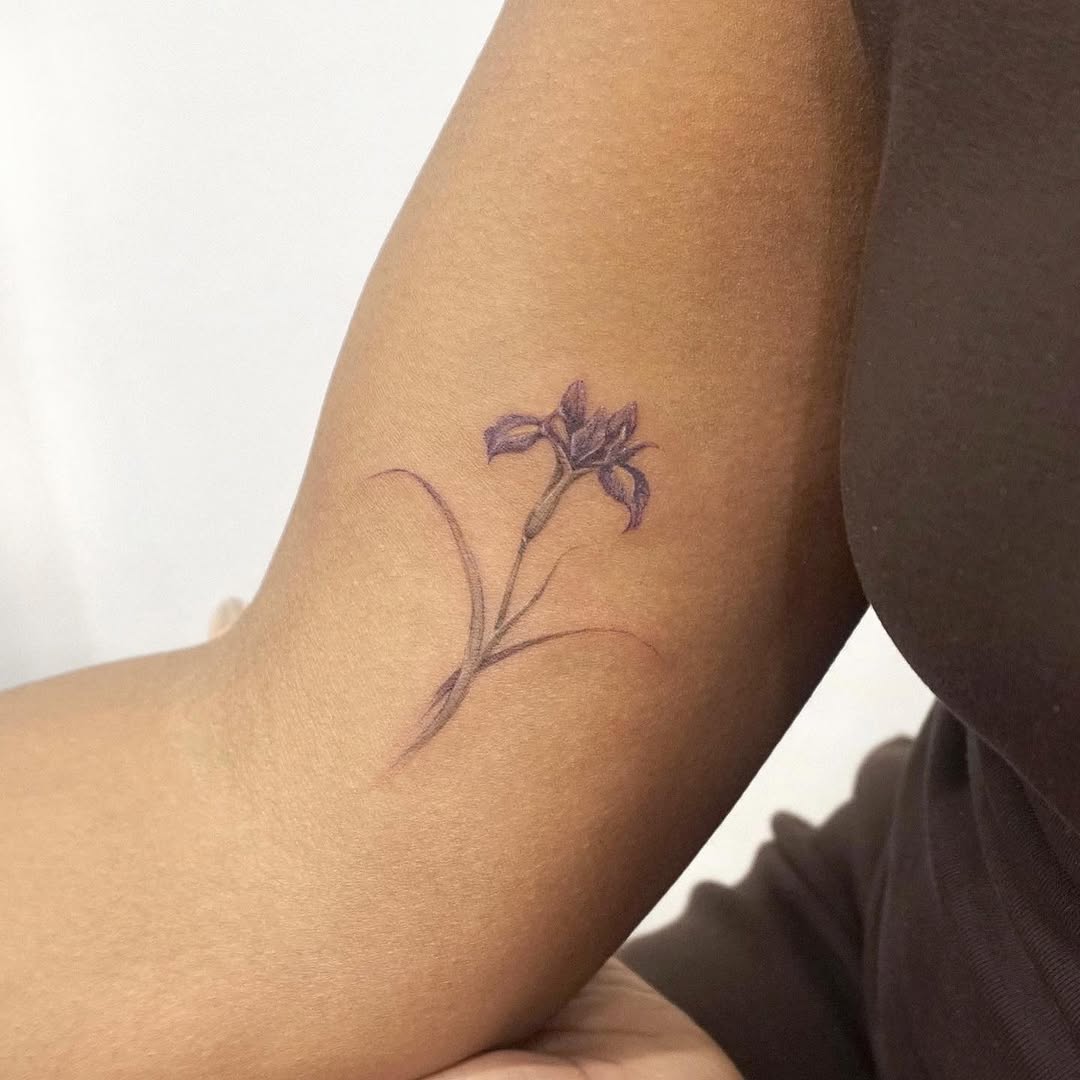 Flower, 국화, 난초, 라벤더, 수선화, 야생화, 탄생화, 아이리스, 허브, 카네이션