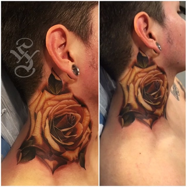 Flower, Rose, Nature