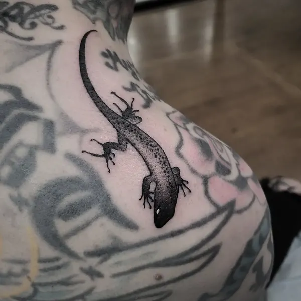 Dragon, 악어, 도마뱀