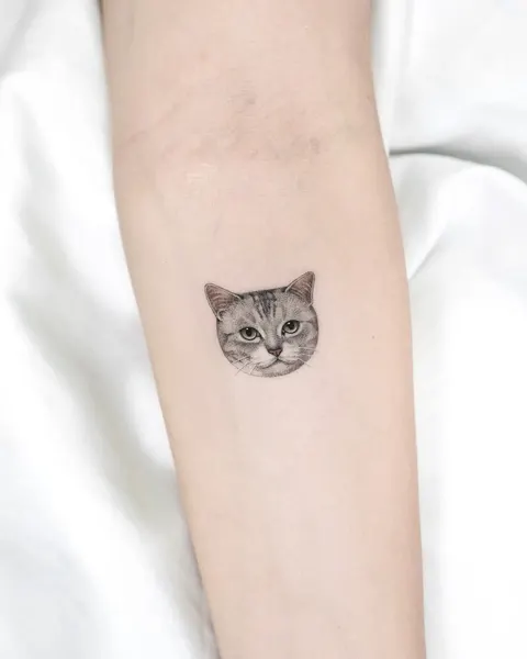 고양이, 여우 가면