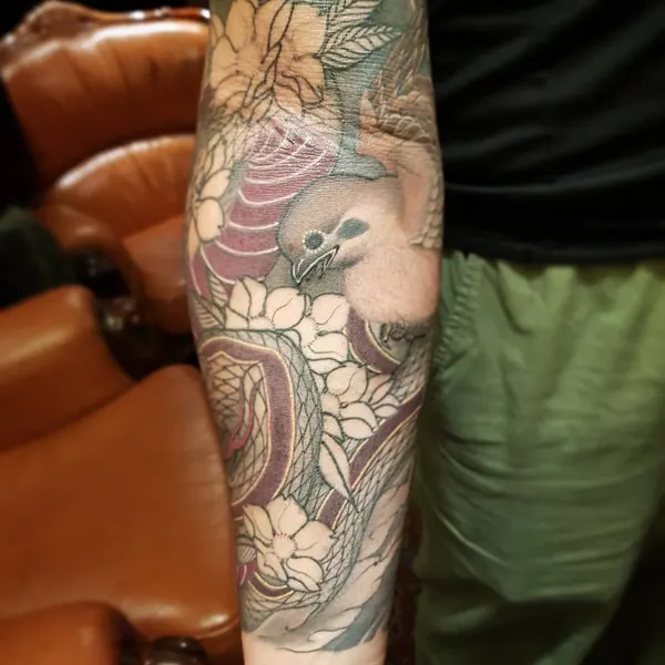 Dragon, Animal
