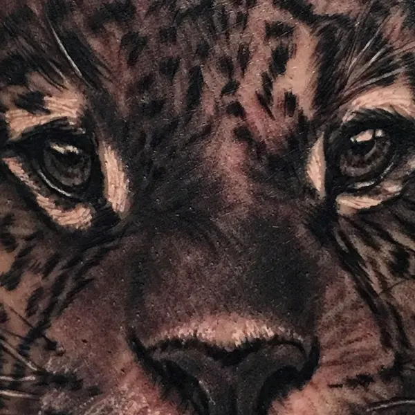 Animal