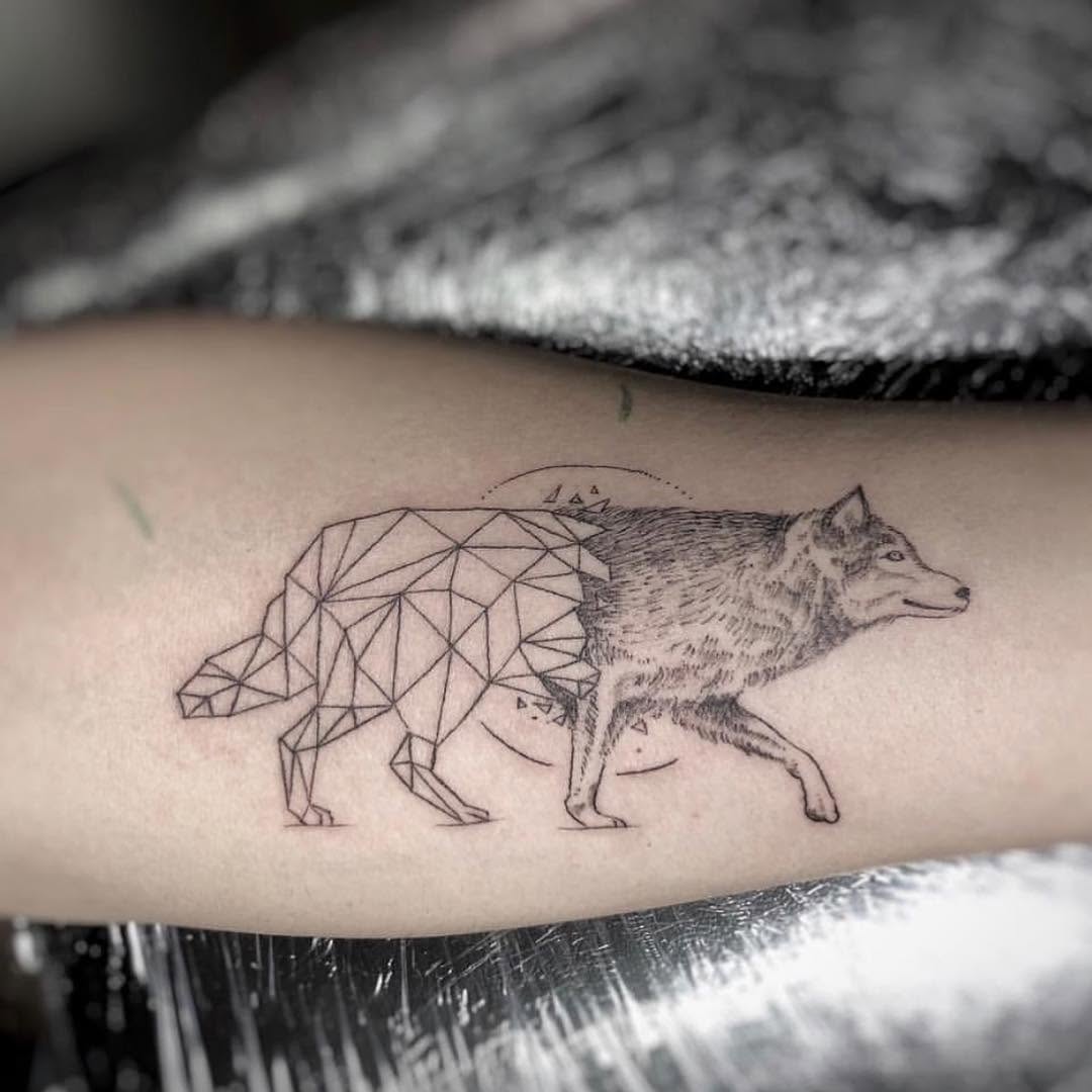Animal, 염소, 소, 양, 돼지, 함사, 황소, 멧돼지, 여우