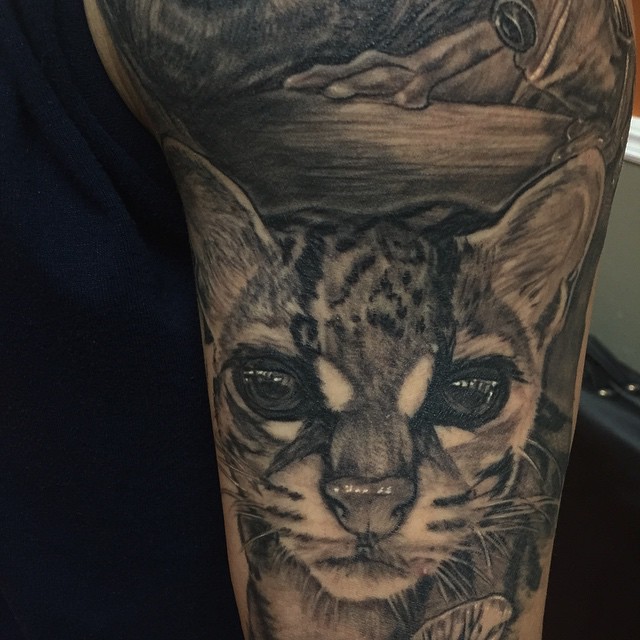 Tiger, 팬서