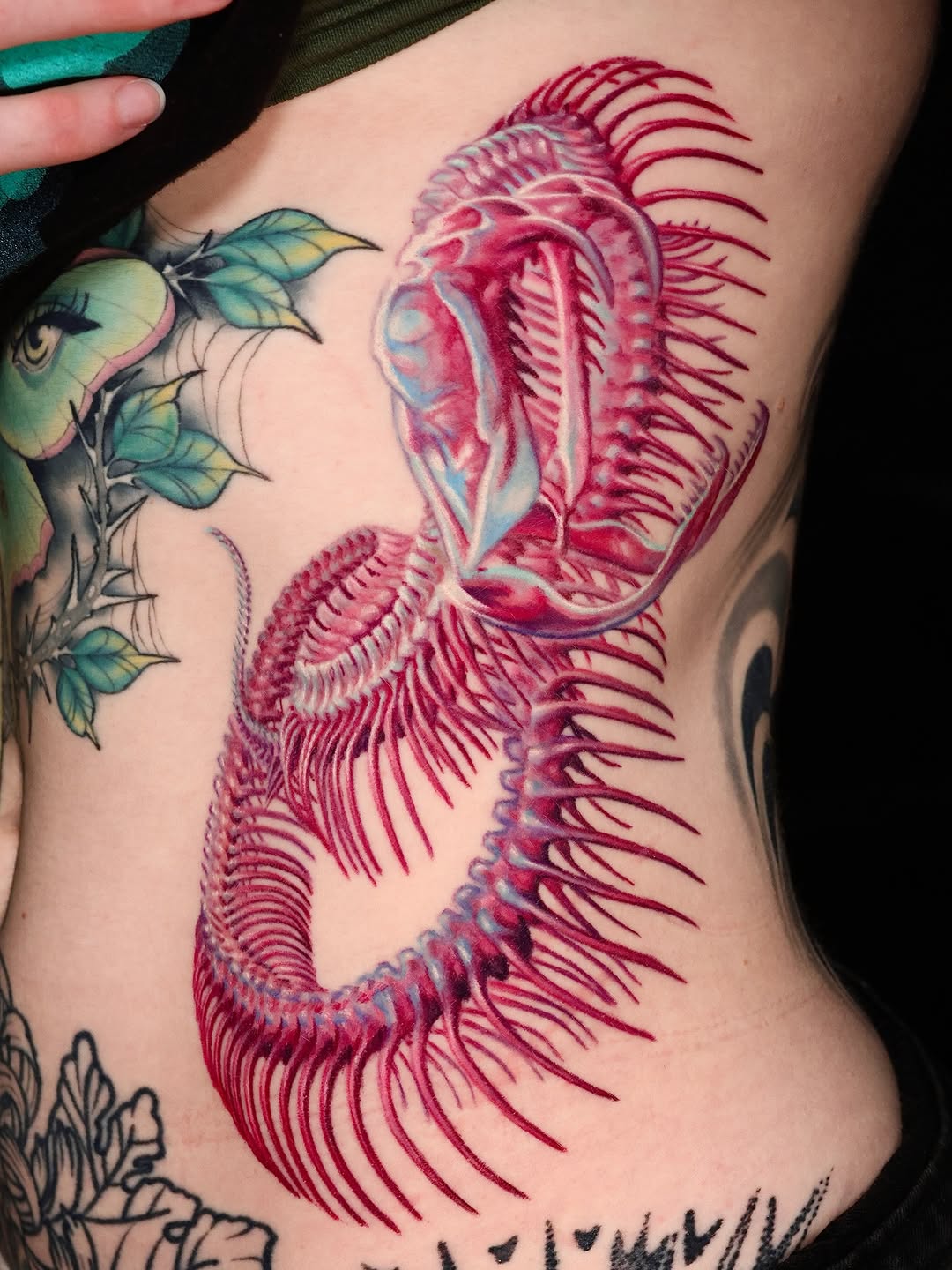 Dragon, 산호, 해파리, 케르베로스