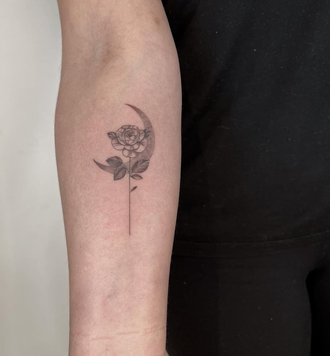 Flower, Rose