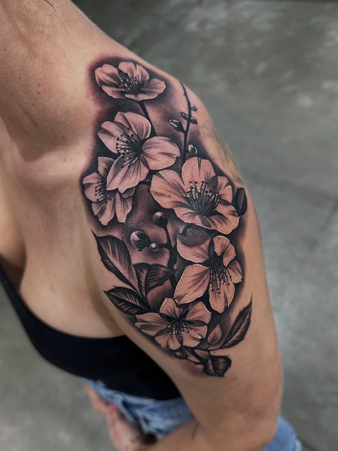 Animal, Nature, Flower