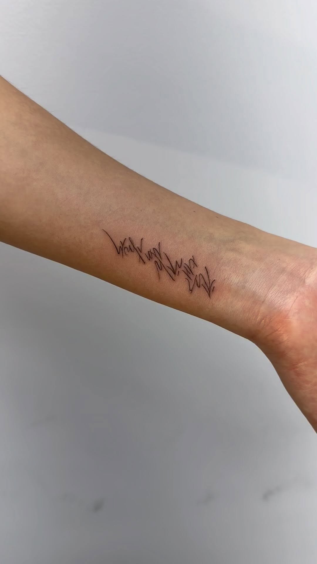 Lettering, 서명, 스크립트