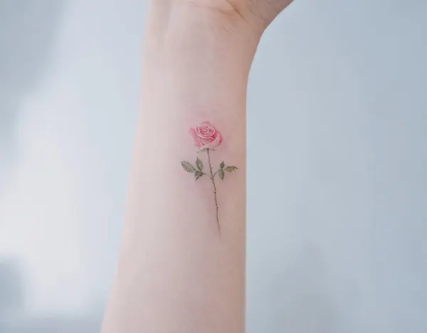 Rose, Flower