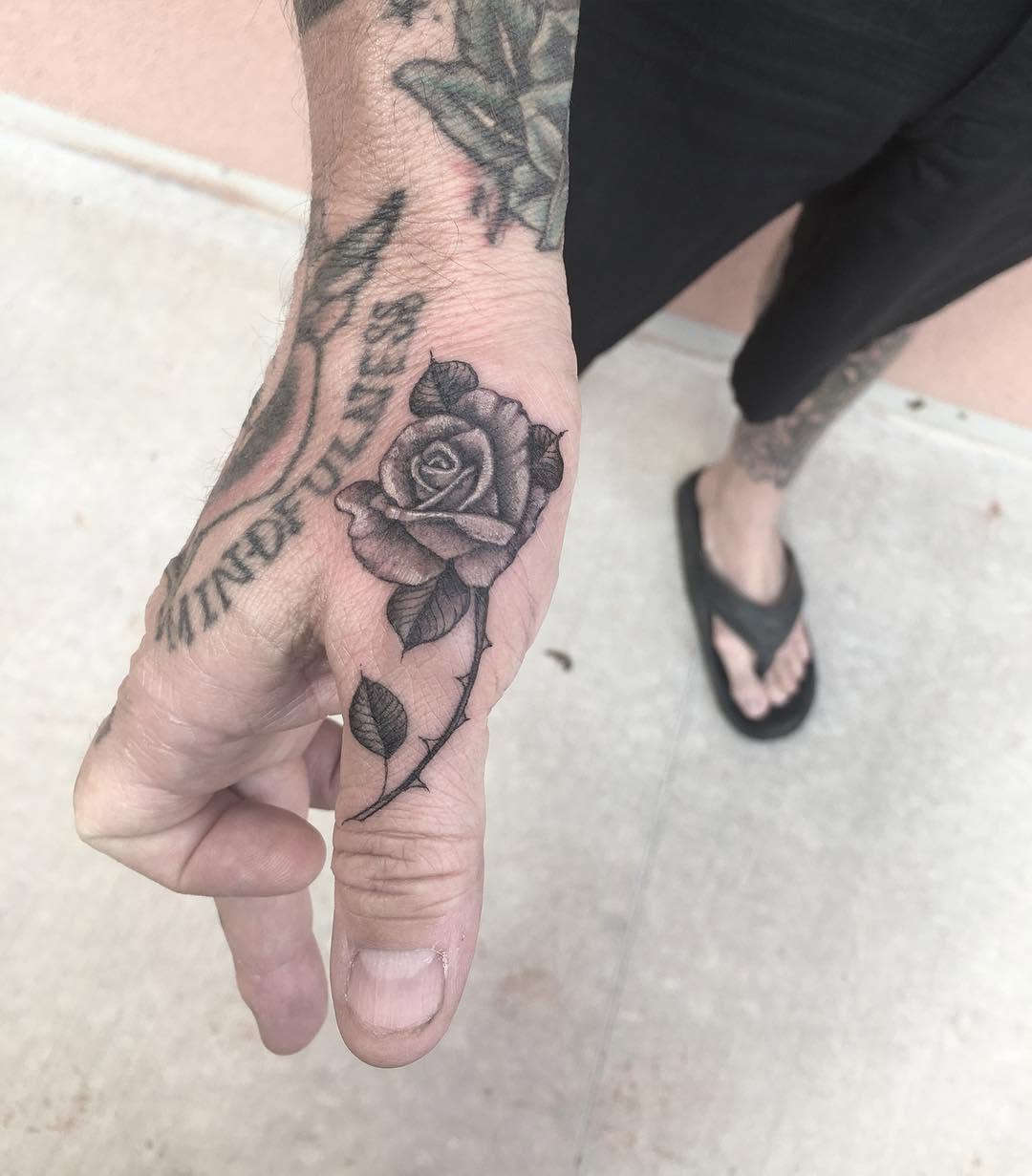 Flower, Rose