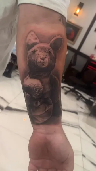 곰, 쥐, 코알라