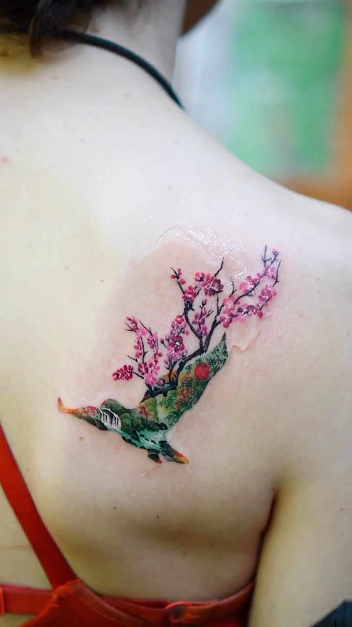 벚꽃, Nature, Flower