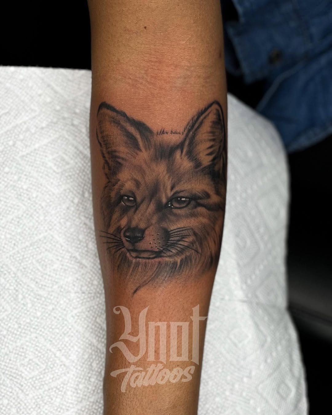 Animal, 여우
