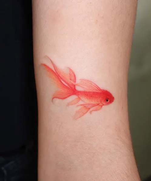 Animal