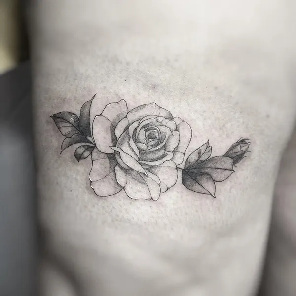 Flower, Rose