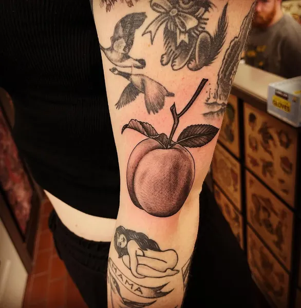 Flower, Rose, 사과, 석류, 레몬