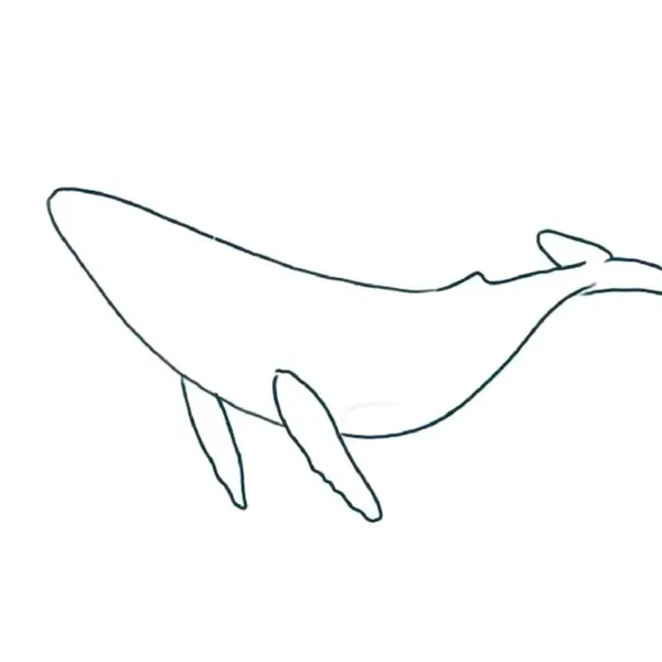 Nature, Animal