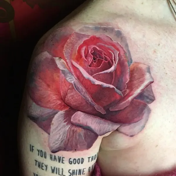 Flower, Rose