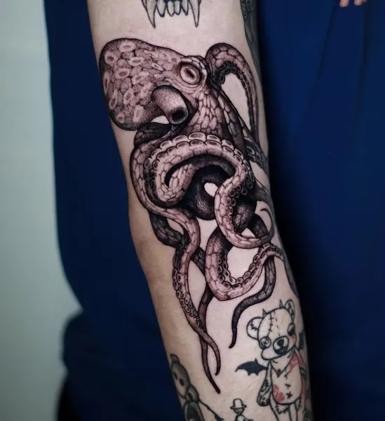 Animal, 문어, 크라켄