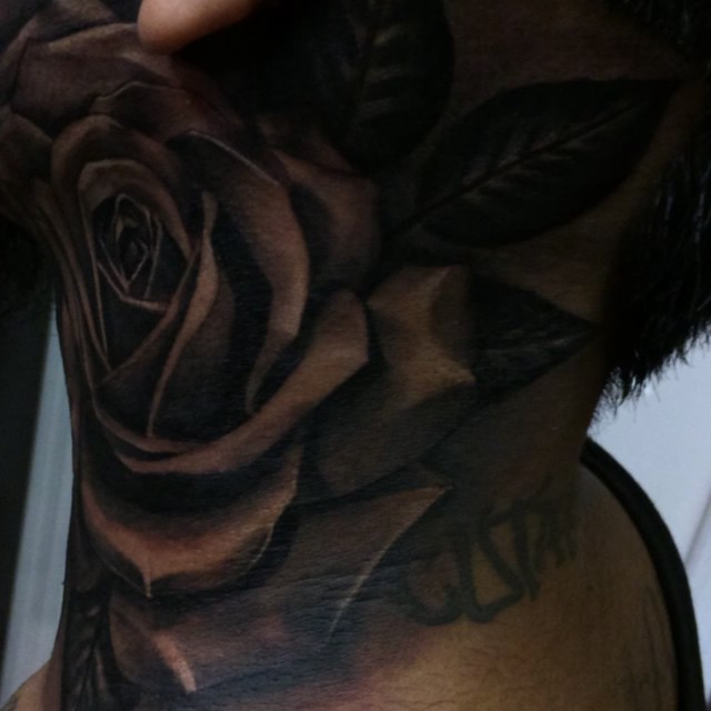 Flower, Nature, Rose