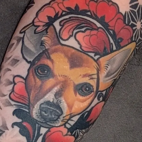 Animal