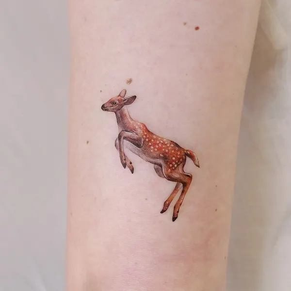 사슴, Animal