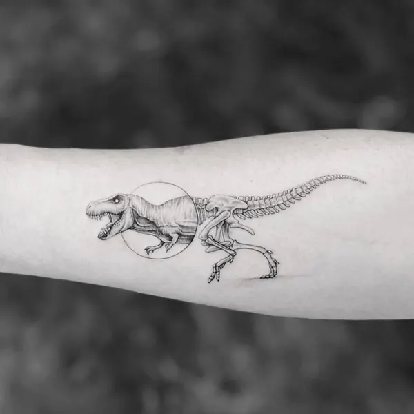 Dragon, 악어, 도마뱀