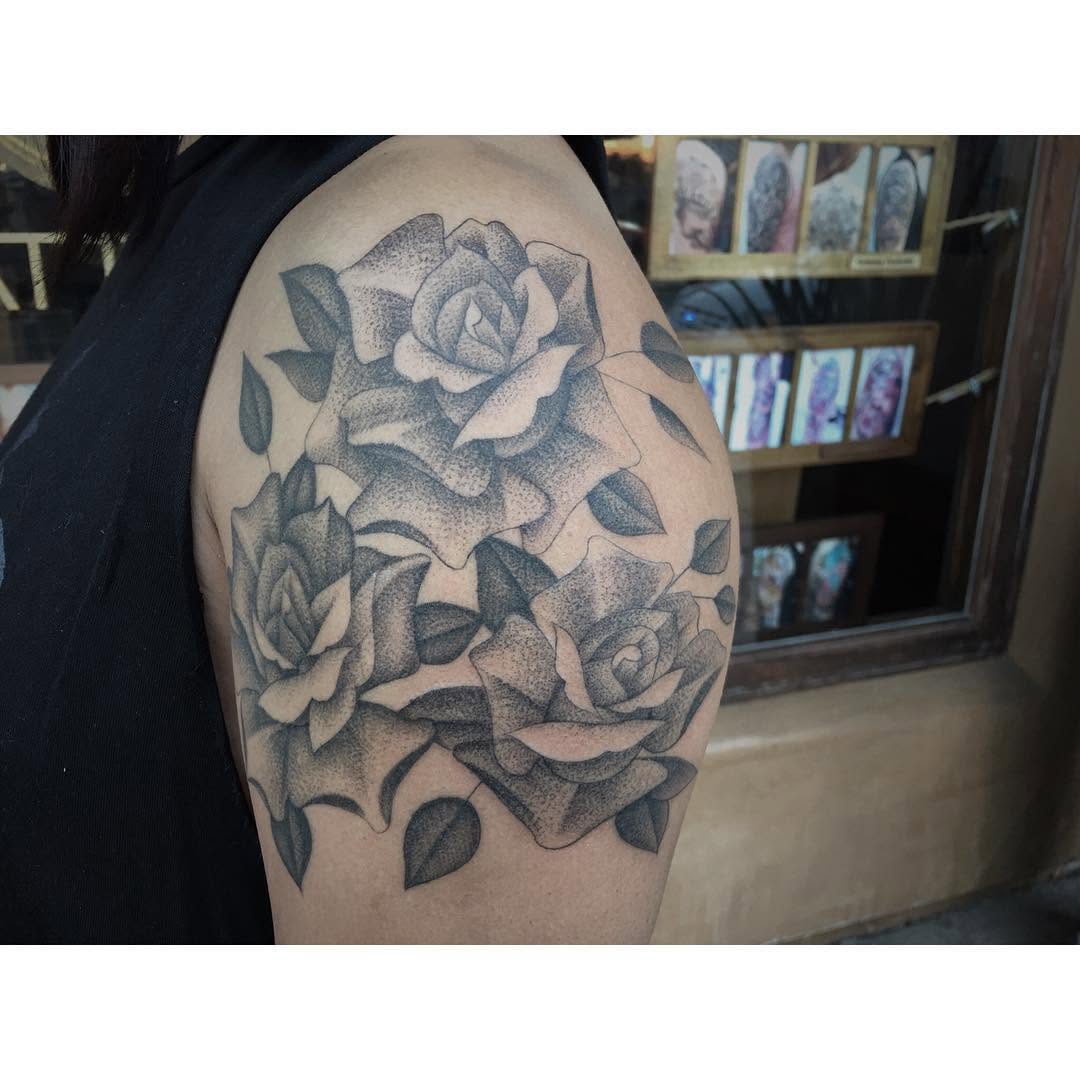 Flower, Rose, Nature
