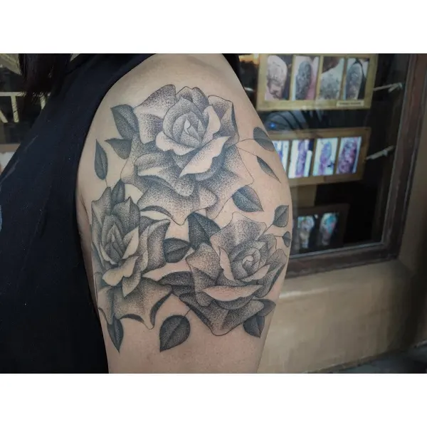 Flower, Rose, Nature