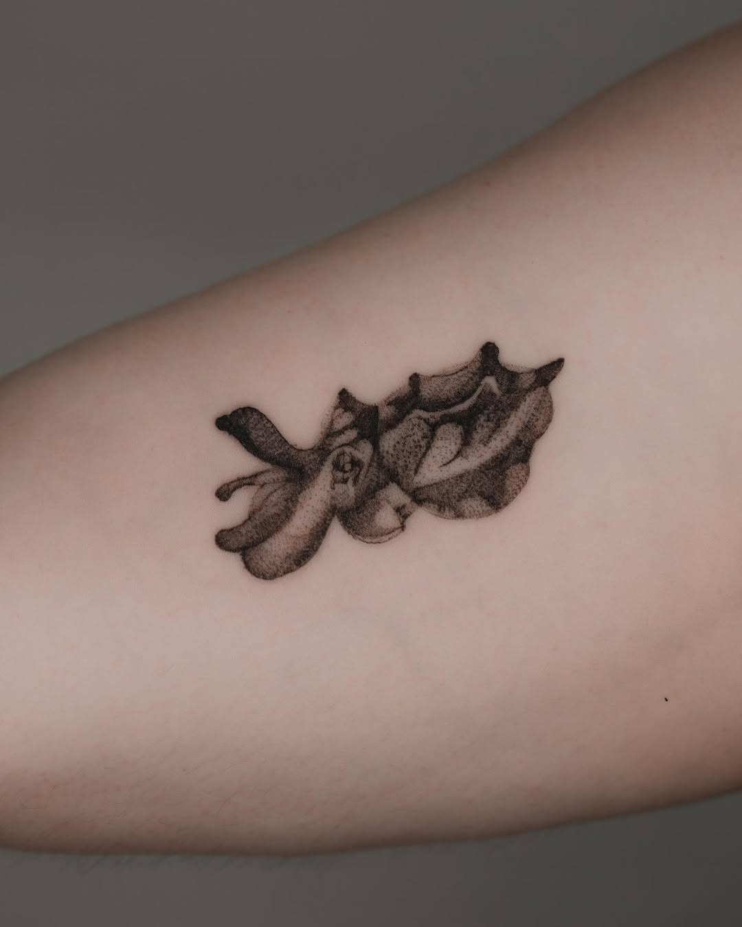 게, Mini, 조개