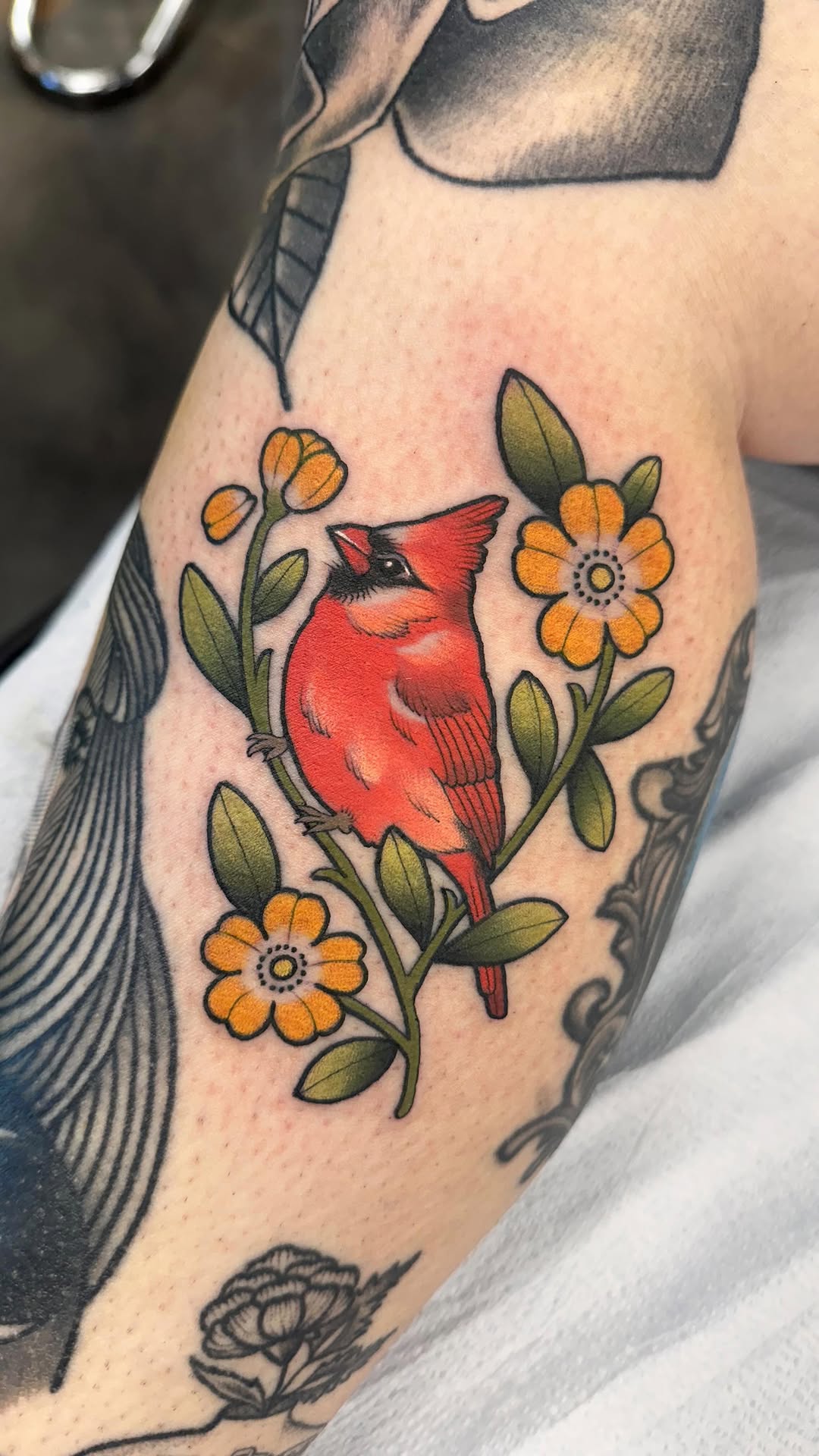 Flower, Animal, Nature