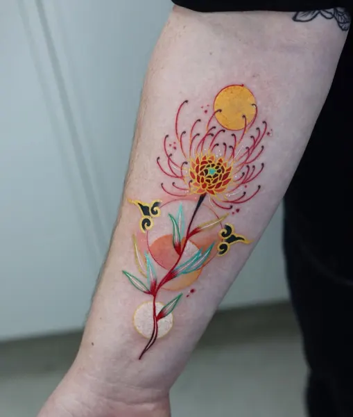 Flower, Rose, 국화, 매화, 모란, 벚꽃, 튤립, 수선화, 탄생화