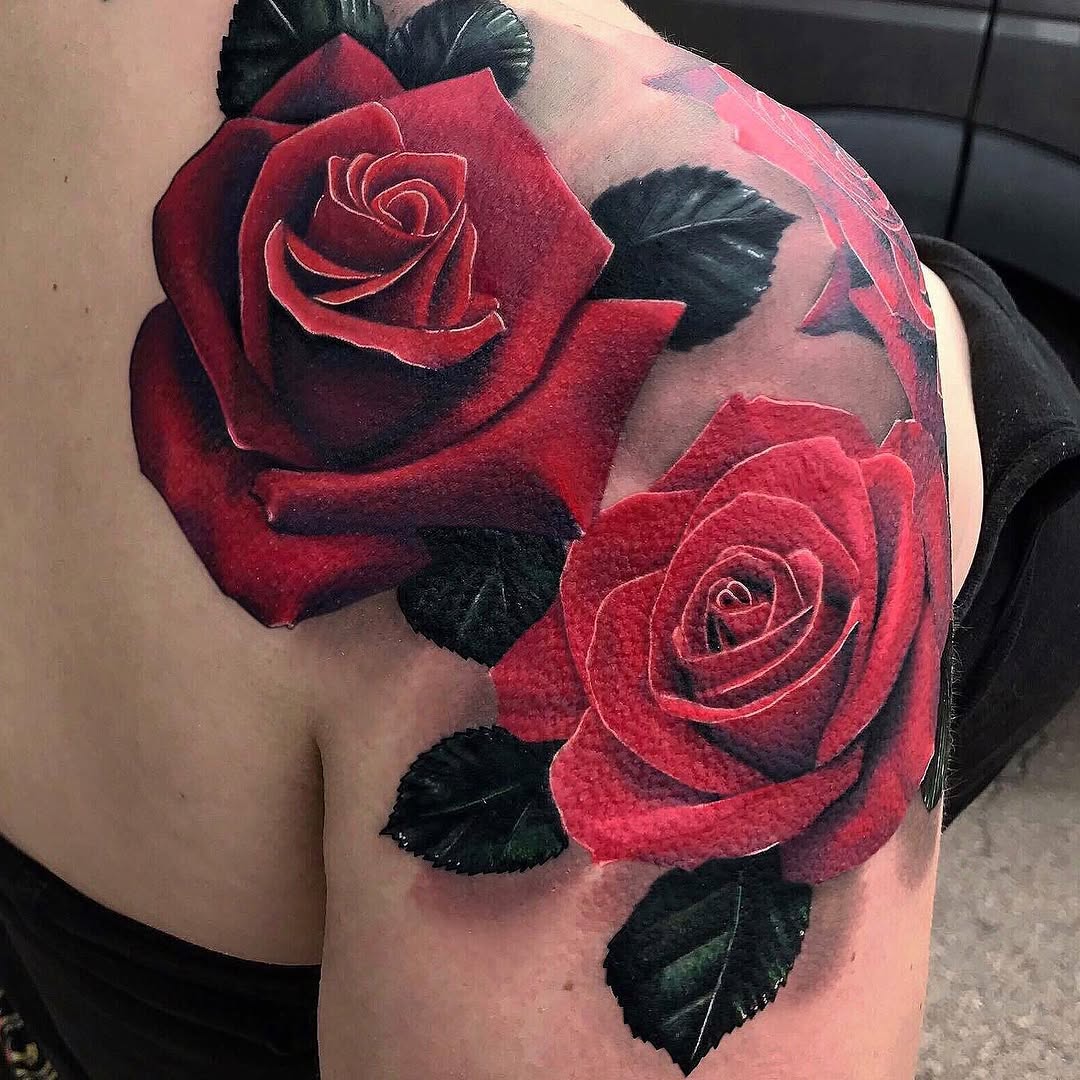 Flower, Rose, Nature
